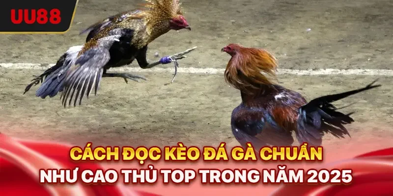 Cách Đọc Kèo Đá Gà Chuẩn Như Cao Thủ Top Trong Năm 2025